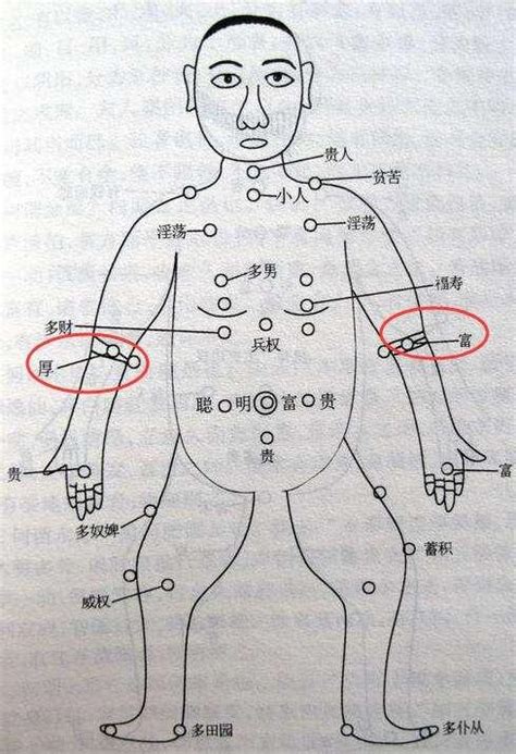 手臂內側有痣|手上長痣圖解大全